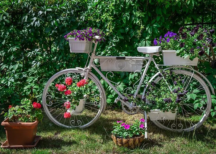 Hotel Step Sunny Beach