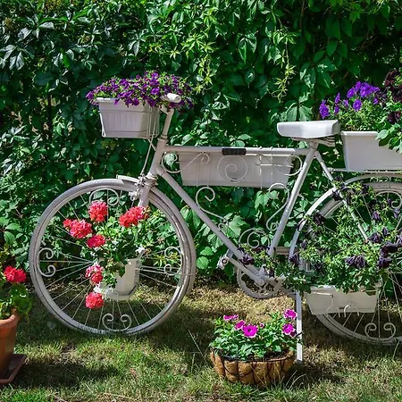 酒店 斯戴普斯酒店 阳光海滩